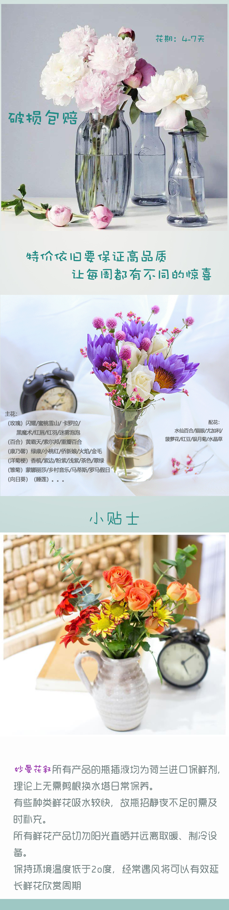 妙曼花叙盲盒特价鲜花2.jpg