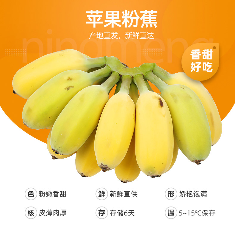 2020年香蕉1.jpg
