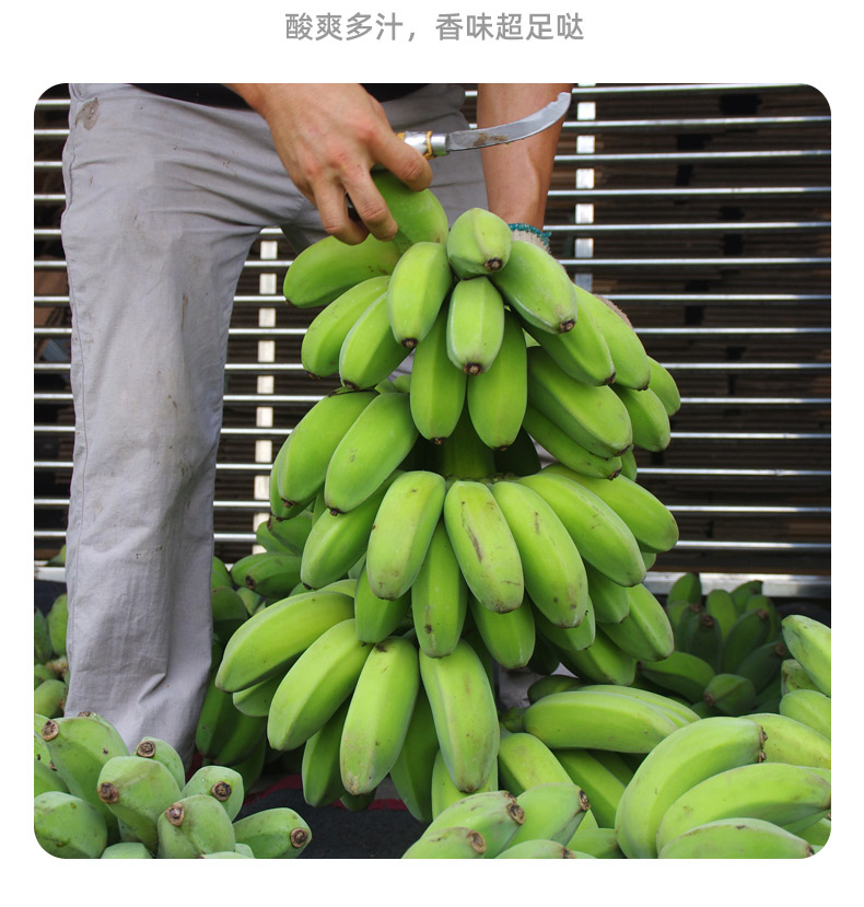 2020年香蕉5.jpg