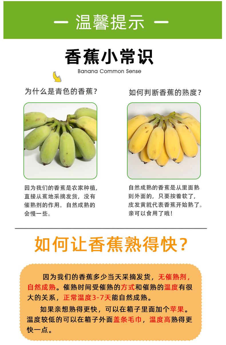 2020年香蕉7.jpg